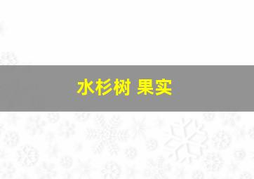 水杉树 果实